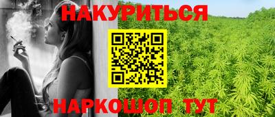 прущие крисы Будённовск